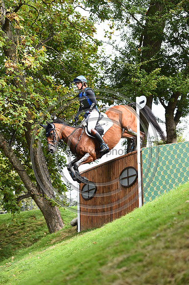 Ludwig Svennerstal_STINGER_LRBHT_PN19_120888