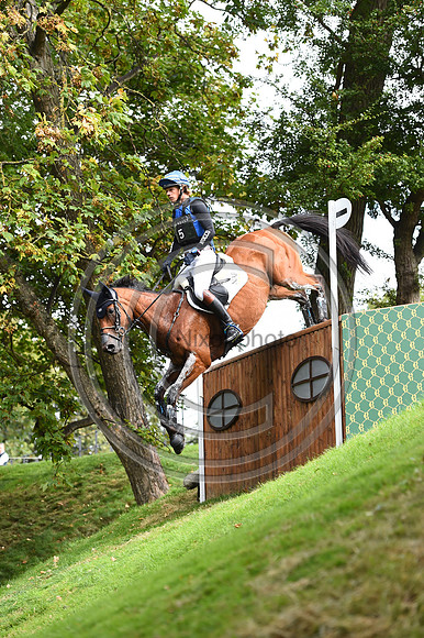 Ludwig Svennerstal_STINGER_LRBHT_PN19_120889