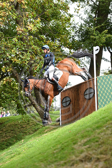 Ludwig Svennerstal_STINGER_LRBHT_PN19_120890
