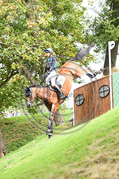 Ludwig Svennerstal_STINGER_LRBHT_PN19_120891