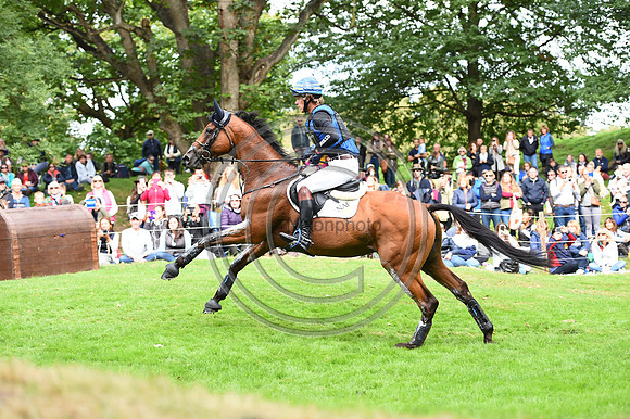Ludwig Svennerstal_STINGER_LRBHT_PN19_120899