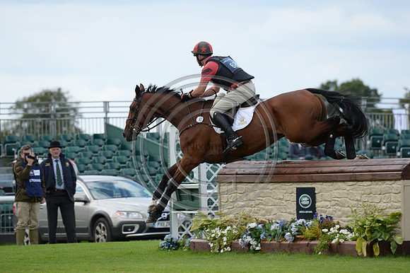 Matthew Heath_THE LION_LRBHT_MR19_129166