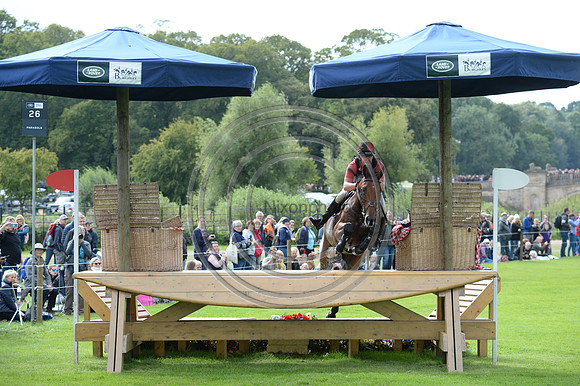 Matthew Heath_THE LION_LRBHT_MR19_129192