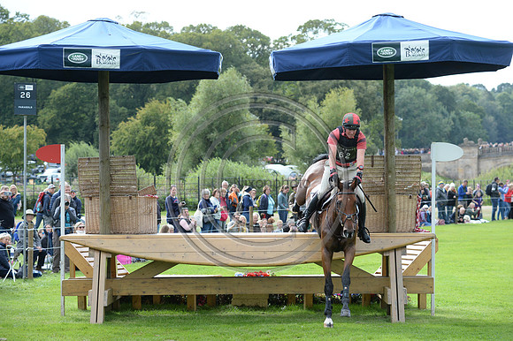 Matthew Heath_THE LION_LRBHT_MR19_129195