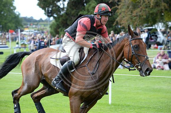 Matthew Heath_THE LION_LRBHT_MR19_129199