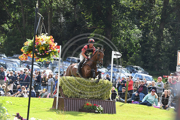Matthew Heath_THE LION_LRBHT_TM19_119684
