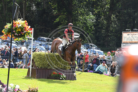Matthew Heath_THE LION_LRBHT_TM19_119686
