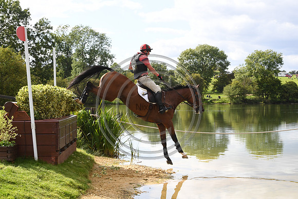 Matthew Heath_THE LION_LRBHT_TM19_119691