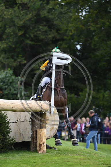 Nicky Hill_MGH BINGO BOY_LRBHT_PN19_119907