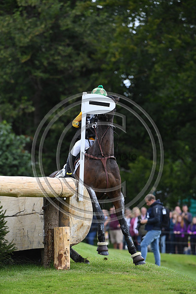 Nicky Hill_MGH BINGO BOY_LRBHT_PN19_119908