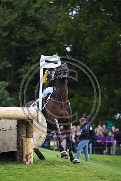 Nicky Hill_MGH BINGO BOY_LRBHT_PN19_119909