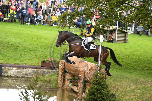 Nicky Hill_MGH BINGO BOY_LRBHT_TM19_119474