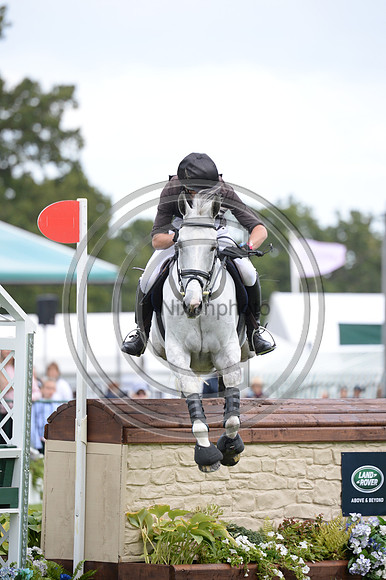 Richard P Jones_ALFIES CLOVER_LRBHT_MR19_129139