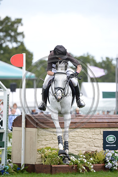 Richard P Jones_ALFIES CLOVER_LRBHT_MR19_129140