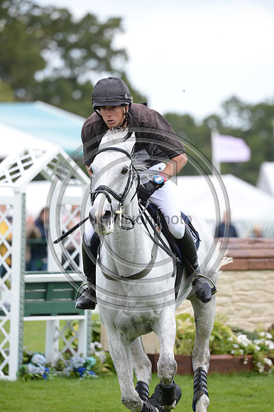 Richard P Jones_ALFIES CLOVER_LRBHT_MR19_129141