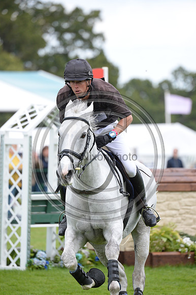 Richard P Jones_ALFIES CLOVER_LRBHT_MR19_129142