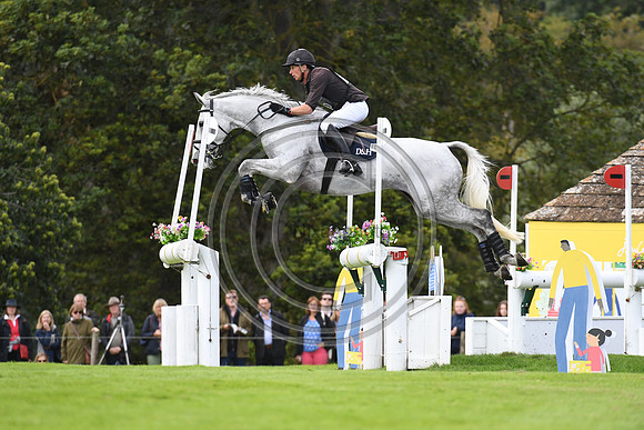 Richard P Jones_ALFIES CLOVER_LRBHT_PN19_120273