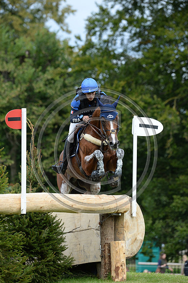 Sebastien Cavaillon_SARAH D'ARGOUGES_LRBHT_PN19_119206
