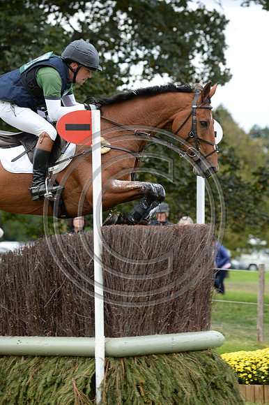 Simon Grieve_THE RUTMAN_LRBHT_MR19_129030