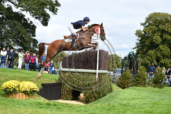 Tim Price_BANGO_LRBHT_PN19_120866