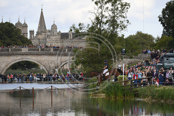 Tim Price_RINGWOOD SKY BOY_LRBHT_PN19_120800