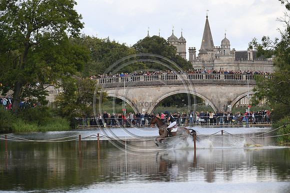 Tim Price_RINGWOOD SKY BOY_LRBHT_PN19_120809