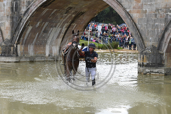 Tim Price_RINGWOOD SKY BOY_LRBHT_TM19_38690