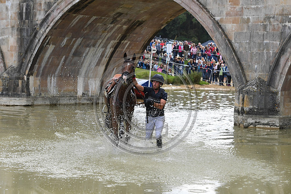 Tim Price_RINGWOOD SKY BOY_LRBHT_TM19_38691