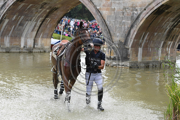 Tim Price_RINGWOOD SKY BOY_LRBHT_TM19_38706