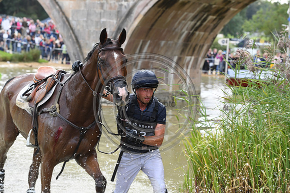 Tim Price_RINGWOOD SKY BOY_LRBHT_TM19_38713