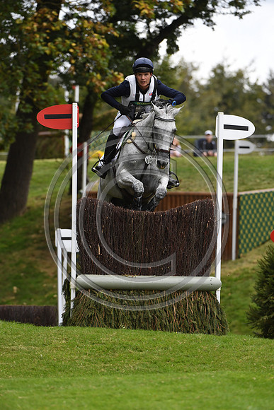 Will Furlong_COLLIEN P 2_LRBHT_PN19_119876