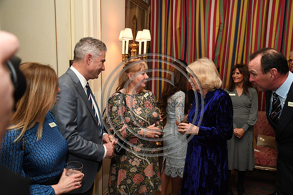 DUCHESS OF CORNWALL_BEF_PN22_10856