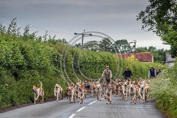 BVHound_Hunting_20PN_57892