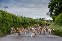 BVHound_Hunting_20PN_57900