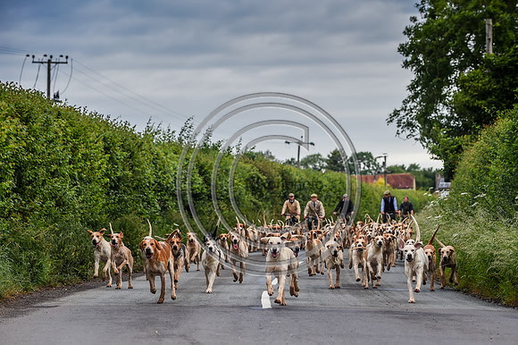 BVHound_Hunting_20PN_57900