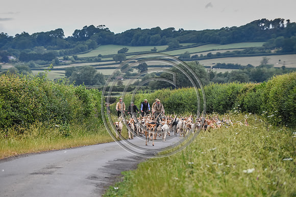 BVHound_Hunting_20PN_57922