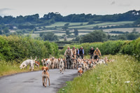 BVHound_Hunting_20PN_57938