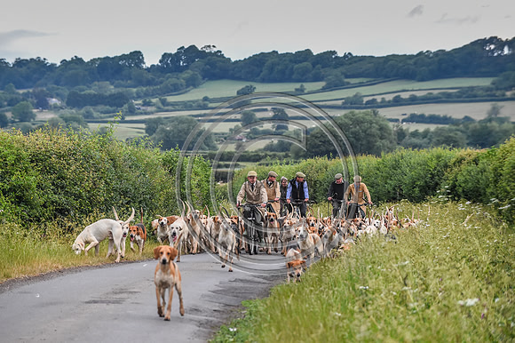 BVHound_Hunting_20PN_57938