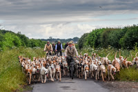 BVHound_Hunting_20PN_57960