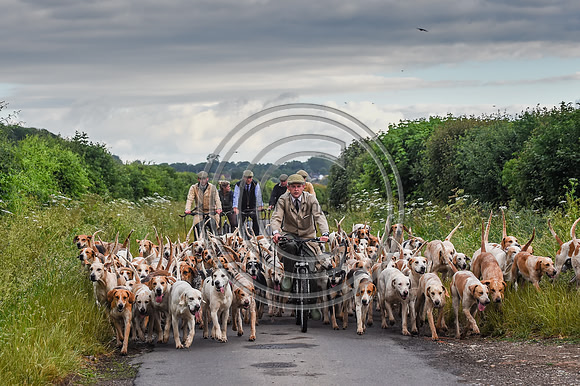 BVHound_Hunting_20PN_57960