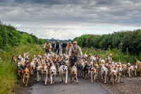 BVHound_Hunting_20PN_57966
