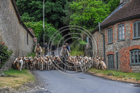 BVHound_Hunting_20PN_57972