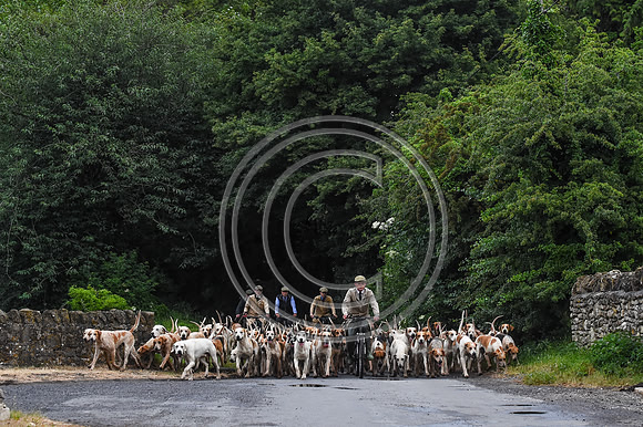 BVHound_Hunting_20PN_58002