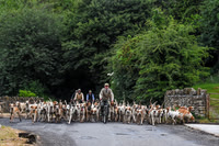 BVHound_Hunting_20PN_58012