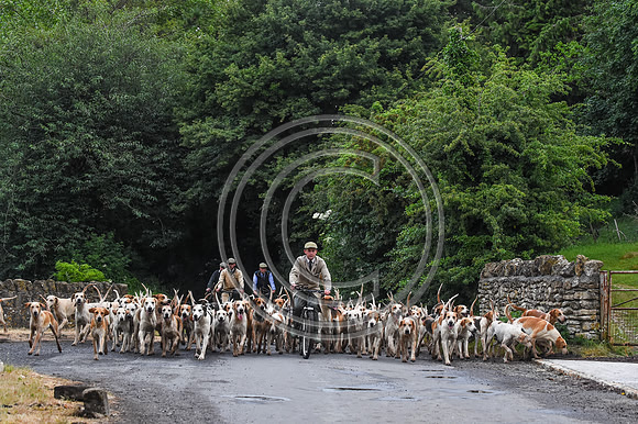 BVHound_Hunting_20PN_58012