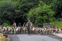 BVHound_Hunting_20PN_58019