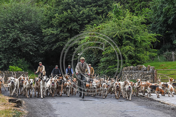 BVHound_Hunting_20PN_58019