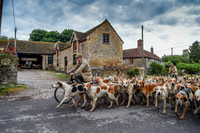 BVHound_Hunting_20PN_58034