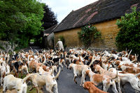 BVHound_Hunting_20PN_58044