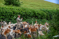 BVHound_Hunting_20PN_58060